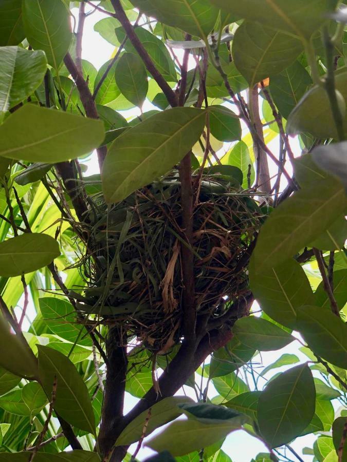Nary Villa Siem Reap Buitenkant foto
